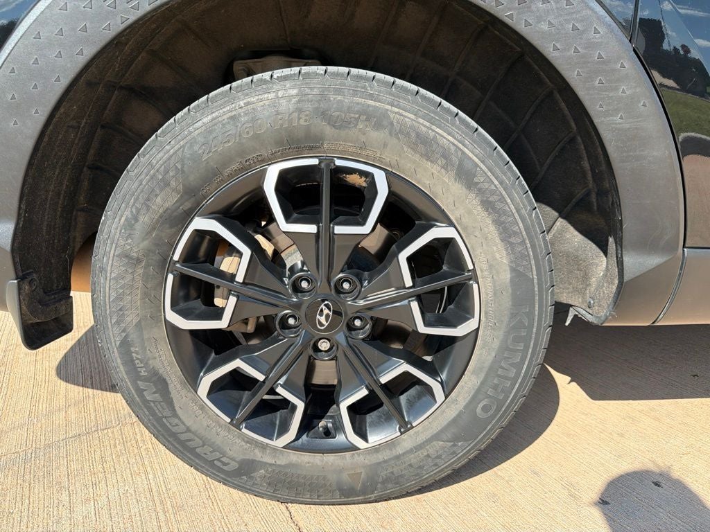 2024 Hyundai Santa Cruz SEL AWD | Activity Pkg